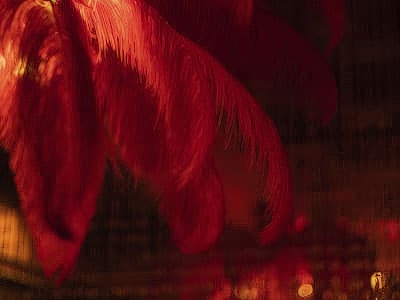 Приватная зона 2